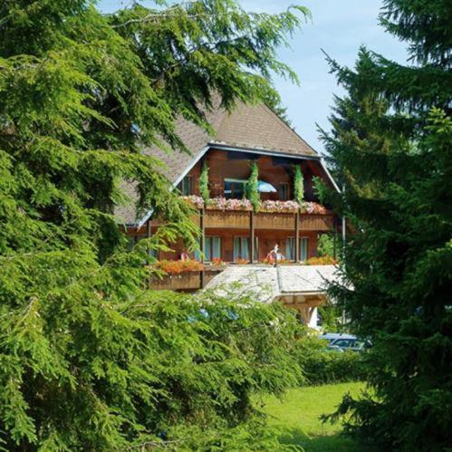 Hotel Garni Seebachstueble Titisee-Neustadt Exteriér fotografie